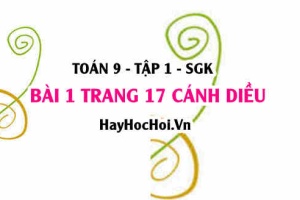 Bài 1 trang 17 Toán 9 tập 1 Cánh Diều